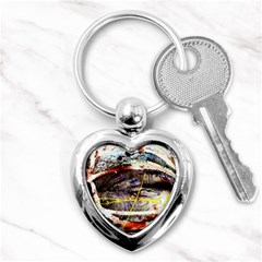 Egg In The Duck   Needle In The Egg 2 Key Chains (heart)  by bestdesignintheworld