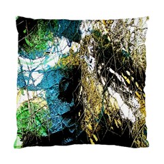 In The Net Of The Rules 3 Standard Cushion Case (one Side) by bestdesignintheworld