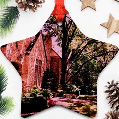 Hot Day In  Dallas 6 Ornament (star) by bestdesignintheworld