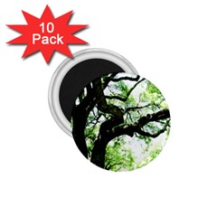 Lake Park 6 1 75  Magnets (10 Pack)  by bestdesignintheworld