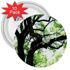 Lake Park 6 3  Buttons (10 Pack)  by bestdesignintheworld