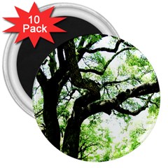 Lake Park 6 3  Magnets (10 Pack)  by bestdesignintheworld