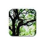 Lake Park 6 Rubber Square Coaster (4 pack)  Front