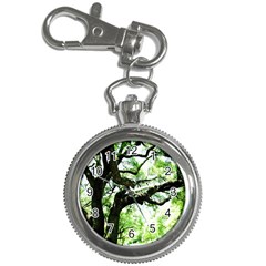 Lake Park 6 Key Chain Watches by bestdesignintheworld