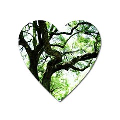 Lake Park 6 Heart Magnet by bestdesignintheworld