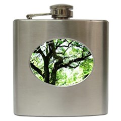 Lake Park 6 Hip Flask (6 Oz) by bestdesignintheworld