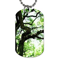 Lake Park 6 Dog Tag (two Sides) by bestdesignintheworld