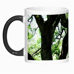 Lake Park 6 Morph Mugs by bestdesignintheworld