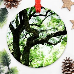 Lake Park 6 Round Ornament (two Sides) by bestdesignintheworld