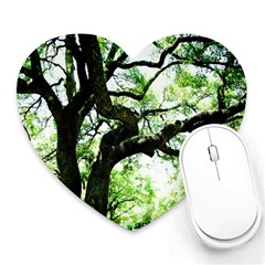 Lake Park 6 Heart Mousepads by bestdesignintheworld