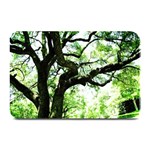 Lake Park 6 Plate Mats 18 x12  Plate Mat