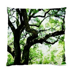 Lake Park 6 Standard Cushion Case (one Side) by bestdesignintheworld