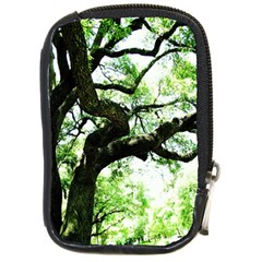 Lake Park 6 Compact Camera Cases by bestdesignintheworld