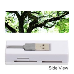 Lake Park 6 Memory Card Reader (stick)  by bestdesignintheworld