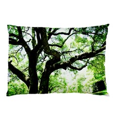 Lake Park 6 Pillow Case (two Sides) by bestdesignintheworld