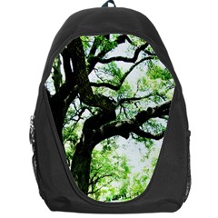 Lake Park 6 Backpack Bag by bestdesignintheworld