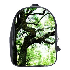 Lake Park 6 School Bag (xl) by bestdesignintheworld