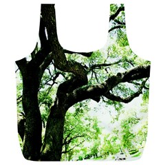 Lake Park 6 Full Print Recycle Bags (l)  by bestdesignintheworld