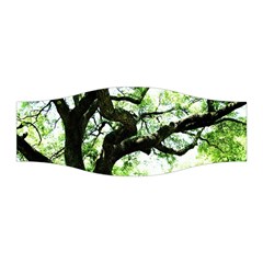 Lake Park 6 Stretchable Headband