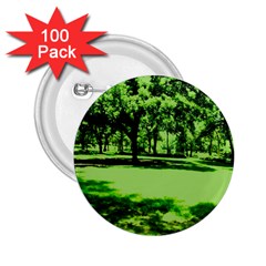 Lake Park 13 2 25  Buttons (100 Pack)  by bestdesignintheworld