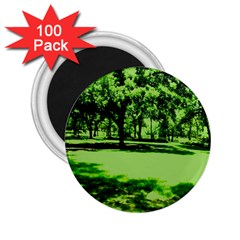 Lake Park 13 2 25  Magnets (100 Pack)  by bestdesignintheworld