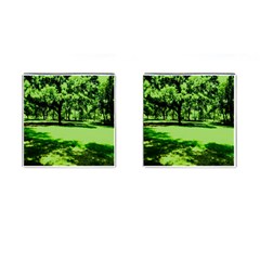 Lake Park 13 Cufflinks (square) by bestdesignintheworld