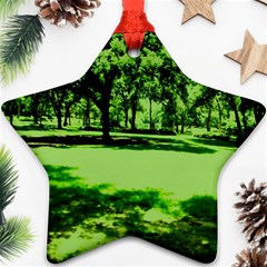 Lake Park 13 Star Ornament (two Sides) by bestdesignintheworld