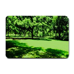 Lake Park 13 Small Doormat  by bestdesignintheworld