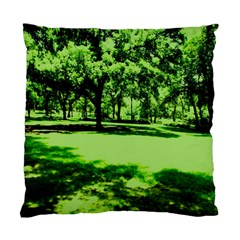 Lake Park 13 Standard Cushion Case (one Side) by bestdesignintheworld