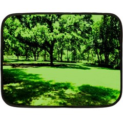 Lake Park 13 Fleece Blanket (mini) by bestdesignintheworld