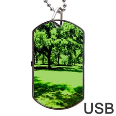 Lake Park 13 Dog Tag Usb Flash (two Sides) by bestdesignintheworld