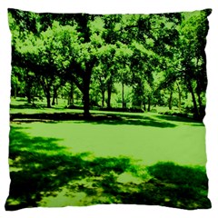 Lake Park 13 Large Cushion Case (one Side) by bestdesignintheworld