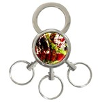 Collosium   Swards And Helmets 4 3-Ring Key Chains Front