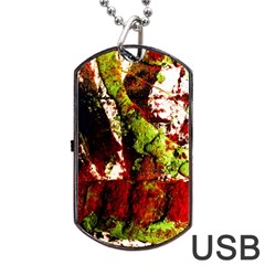 Collosium   Swards And Helmets 4 Dog Tag USB Flash (Two Sides)