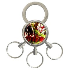 Collosium   Swards And Helmets 4 3-ring Key Chains by bestdesignintheworld