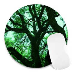 Lake Park 3 Round Mousepads by bestdesignintheworld