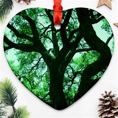 Lake Park 3 Ornament (heart) by bestdesignintheworld