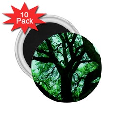 Lake Park 3 2 25  Magnets (10 Pack)  by bestdesignintheworld