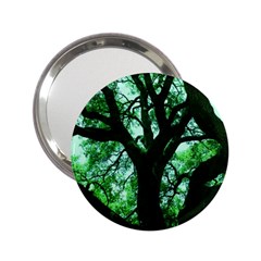 Lake Park 3 2 25  Handbag Mirrors by bestdesignintheworld