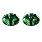 Lake Park 3 Cufflinks (Oval) Front(Pair)