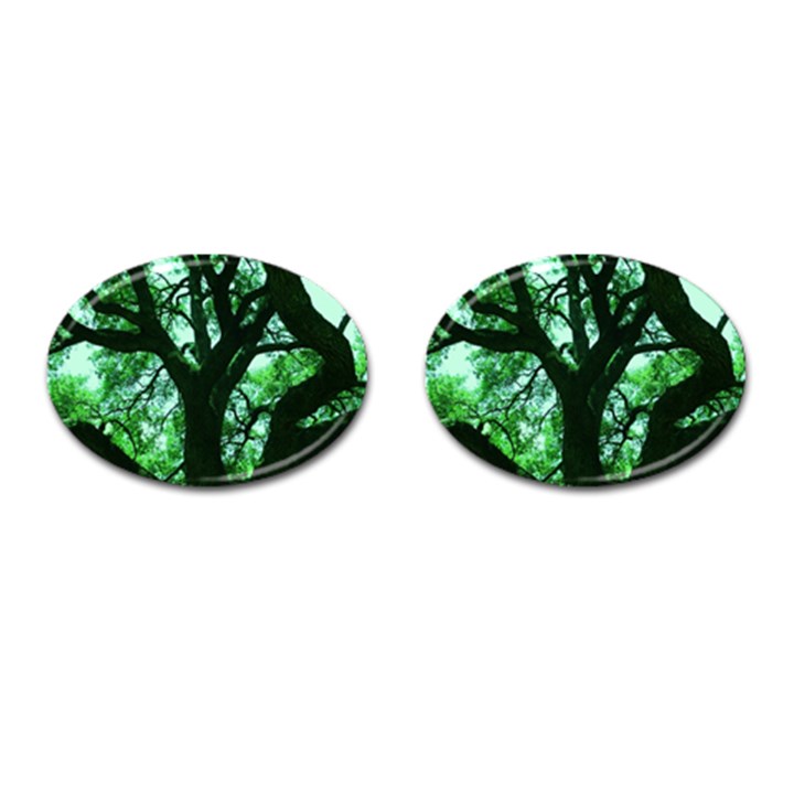 Lake Park 3 Cufflinks (Oval)