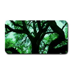 Lake Park 3 Medium Bar Mats by bestdesignintheworld