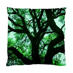 Lake Park 3 Standard Cushion Case (one Side) by bestdesignintheworld