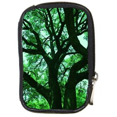 Lake Park 3 Compact Camera Cases by bestdesignintheworld