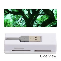 Lake Park 3 Memory Card Reader (stick)  by bestdesignintheworld