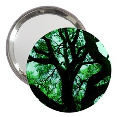 Lake Park 3 3  Handbag Mirrors by bestdesignintheworld