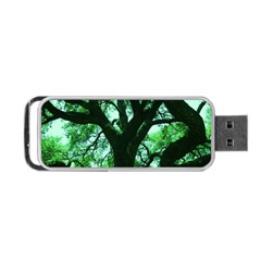 Lake Park 3 Portable Usb Flash (two Sides) by bestdesignintheworld