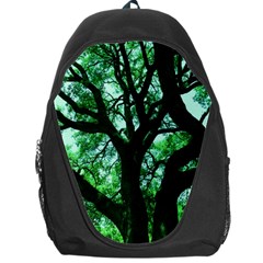 Lake Park 3 Backpack Bag by bestdesignintheworld