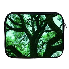 Lake Park 3 Apple Ipad 2/3/4 Zipper Cases