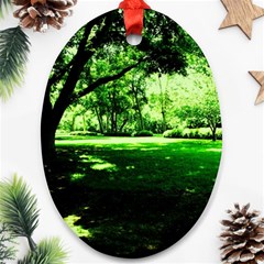 Lake Park 14 Ornament (oval) by bestdesignintheworld